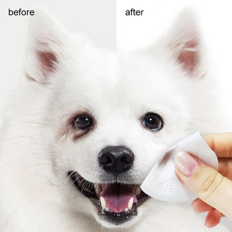 120 Pcs Non-Woven Pet Eye Cleaning Wipes