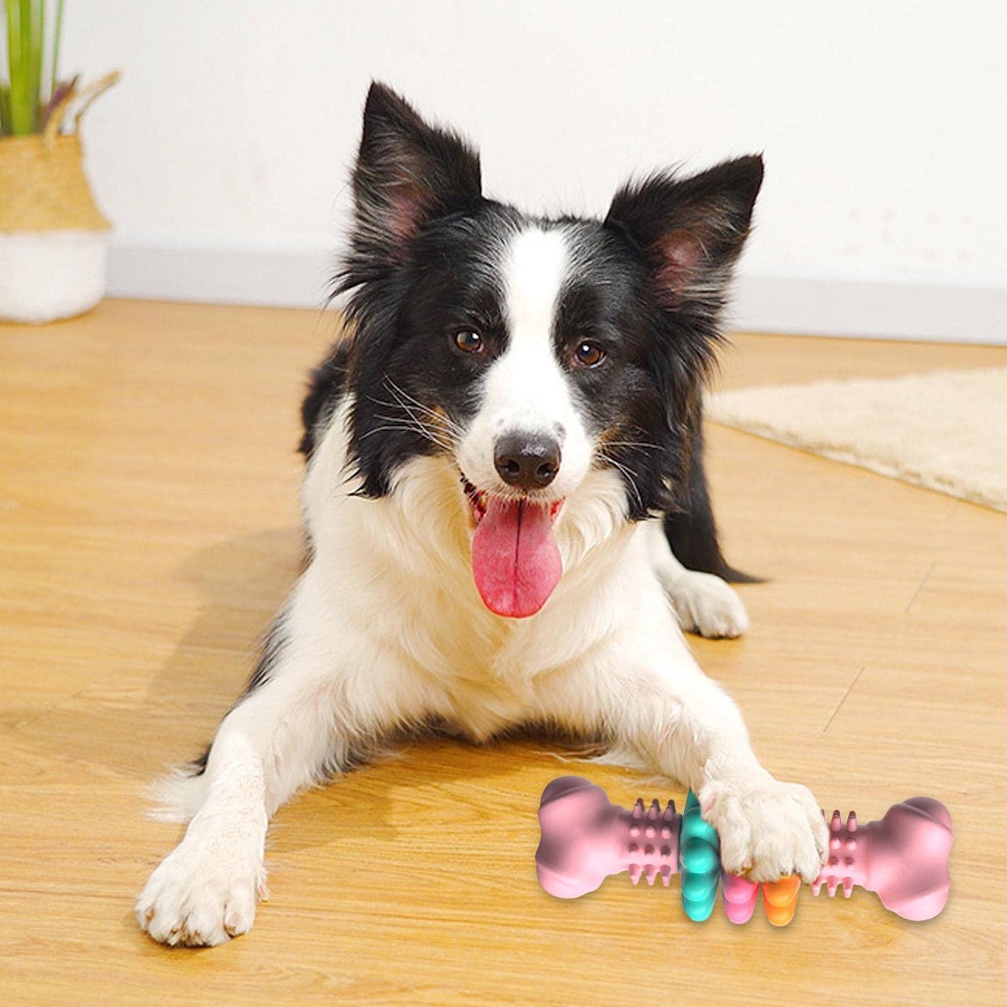 Indestructible TPR Bone Chewing Bite Resistant Teething Toy