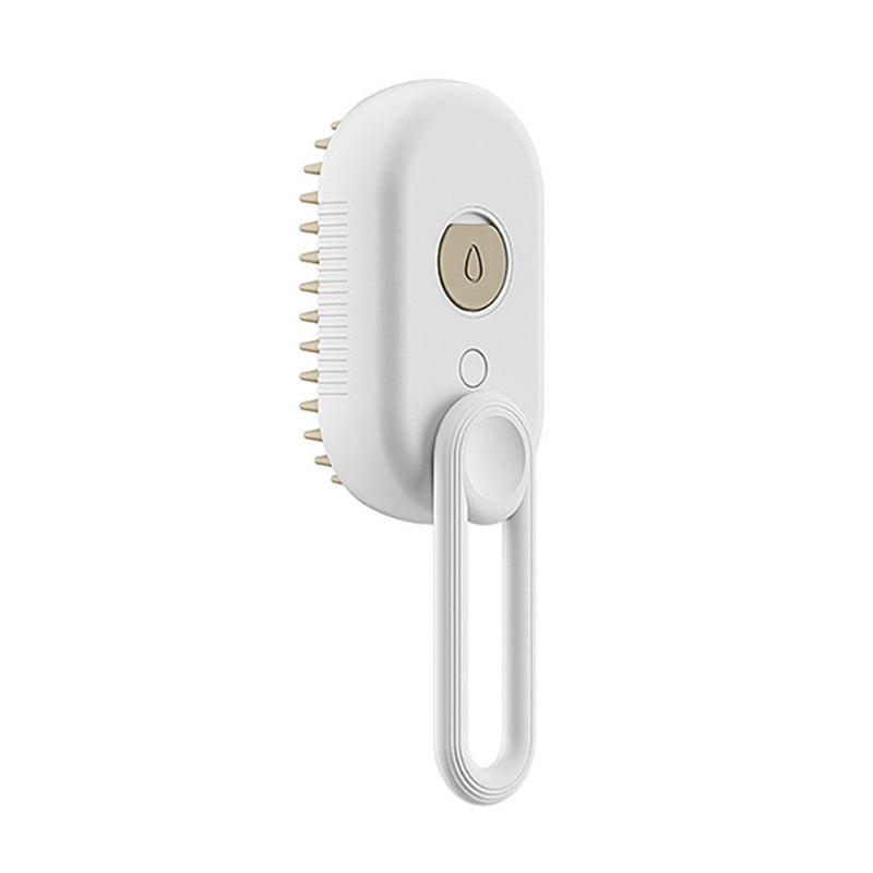 3 In 1 Electric Cat Steam Hair Brush